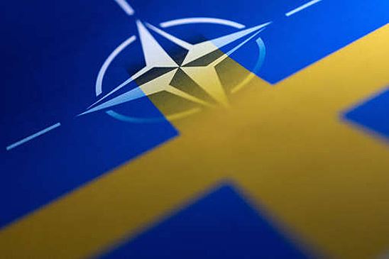 Reuters: США ждут, что Турция и Венгрия ратифицируют заявку Швеции в НАТО к середине июля