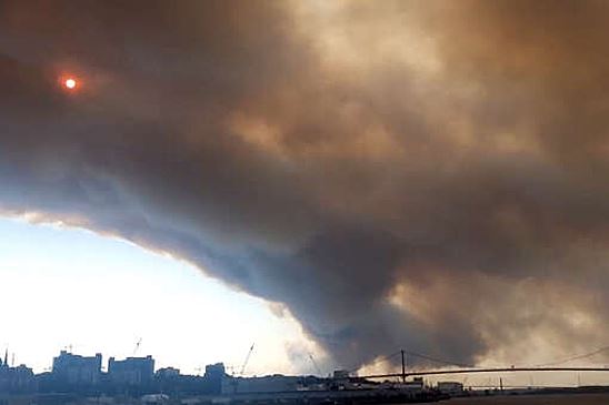 В канадском городе Галифакс объявили режим ЧП и начали эвакуацию граждан из-за лесных пожаров