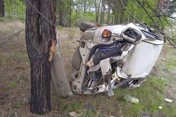 Водитель Toyota скатился в овраг, врезался в дерево и погиб 