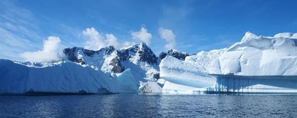 Замедление циркуляции антарктических вод лишит их кислорода и питательных веществ