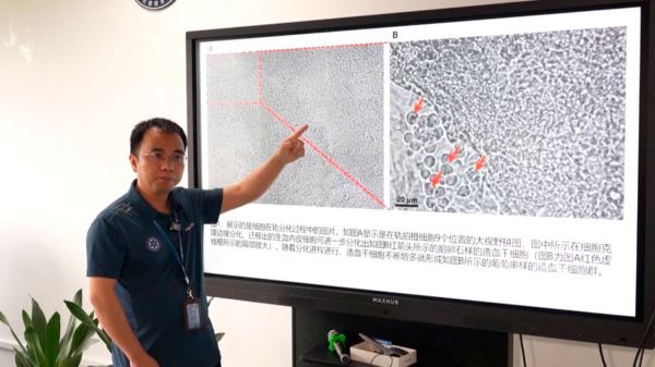 <br />
                                                На станции «Тяньгун» успешно преобразовали стволовые клетки                                            